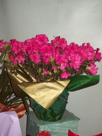 Vaso de Flor